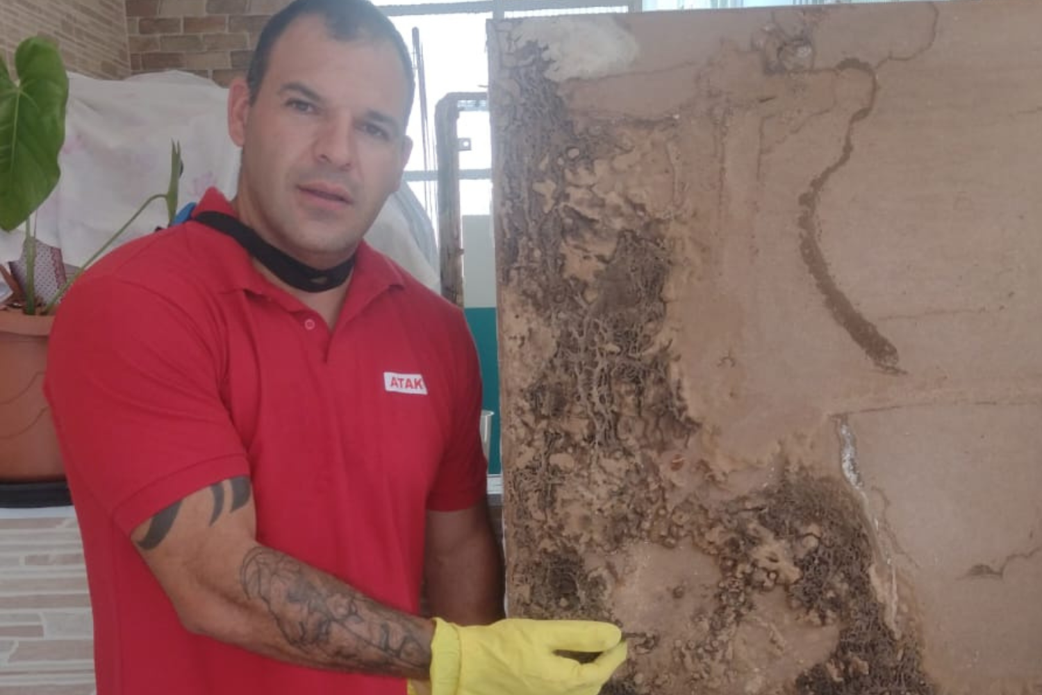 Reportagem na Rede Record